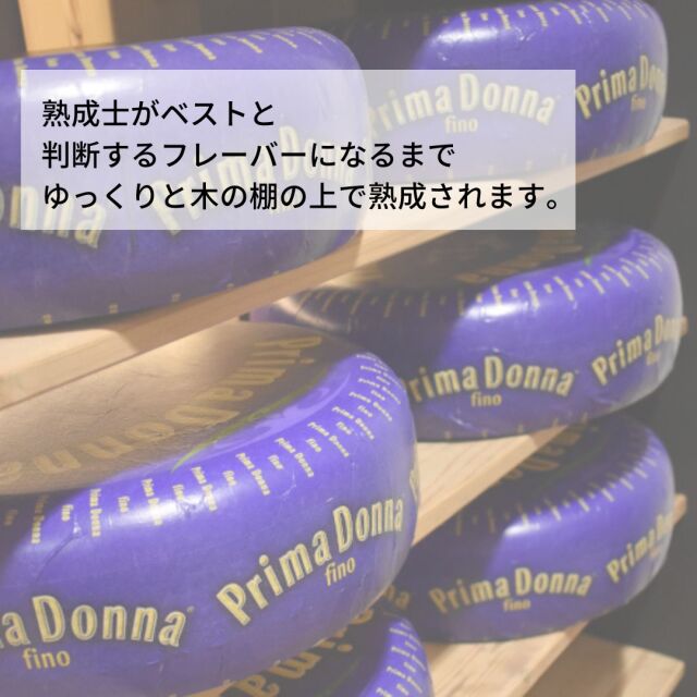 プリマドンナ　フィーノ