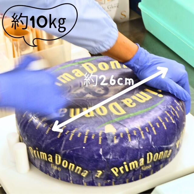 プリマドンナ　フィーノ