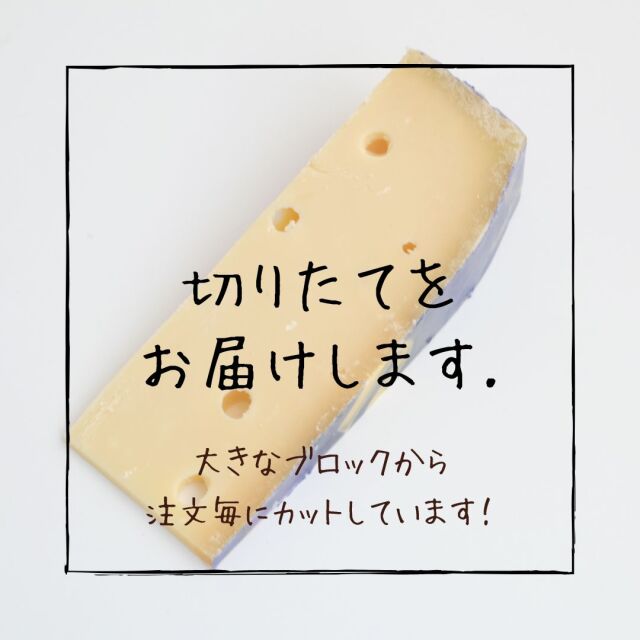 プリマドンナ　フィーノ