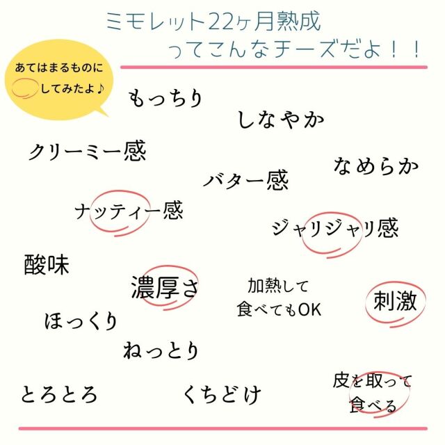 ミモレット22