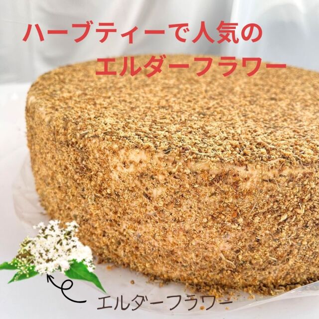 ケーゼレベレン　エルダーフラワー