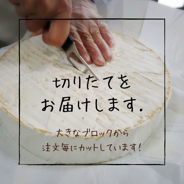 クリームダルジェンタル