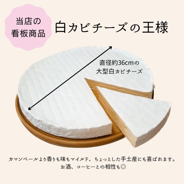 ブリー　大きさ