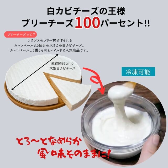 ブリー　チーズ　ソース