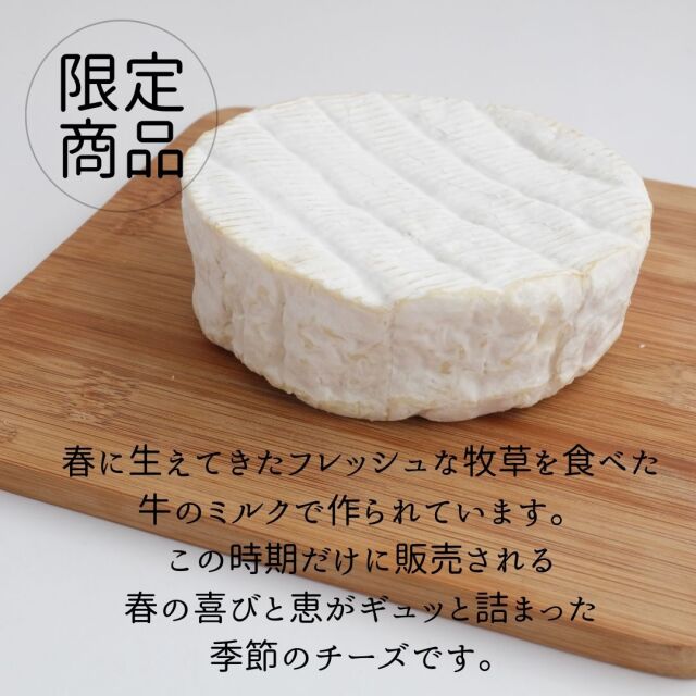 ルスティック　カマンベール　プランタン