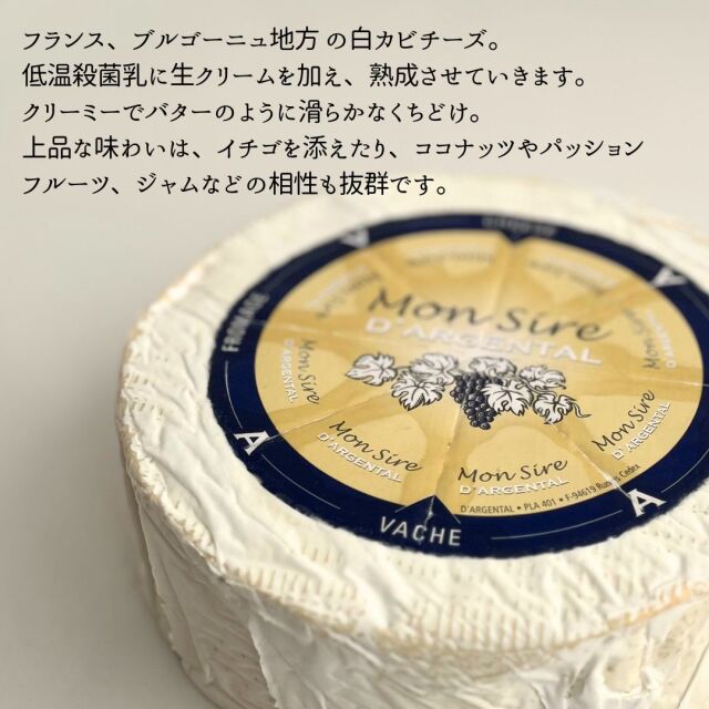 【ダメージ有】  プレイン　シェルディッシュ クリームダルジェンタル【チーズ専門店 キャトルフォイユ】＜切りたて