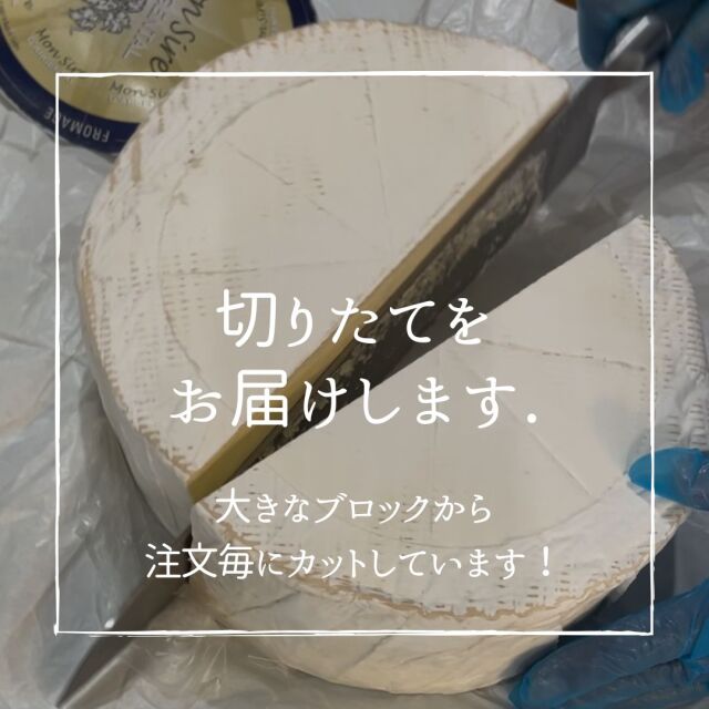 モンシール