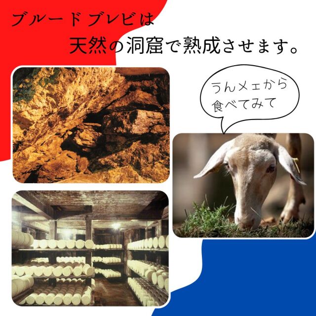 ロックホール　ブルー ド ブルビ