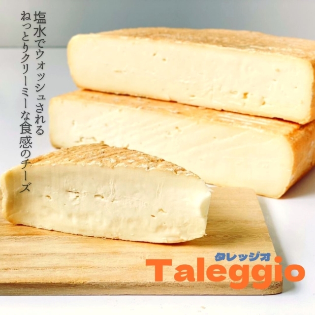 タレッジオlチーズ専門店 キャトルフォイユ