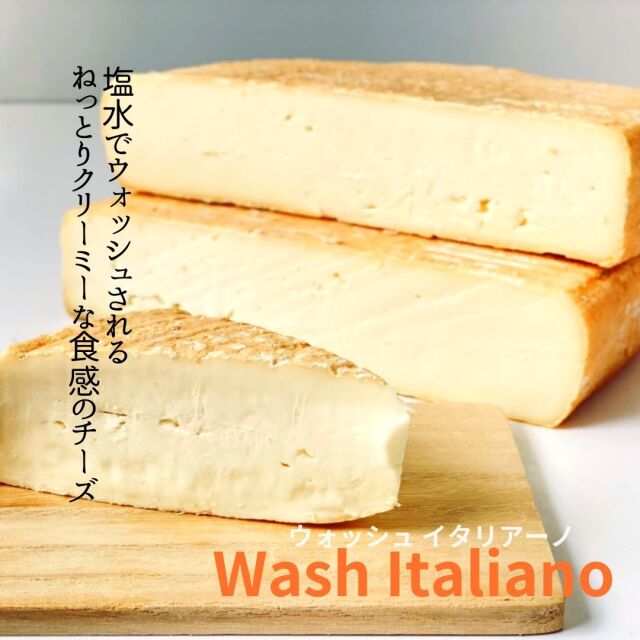 タレッジオ ウォッシュイタリアーノ