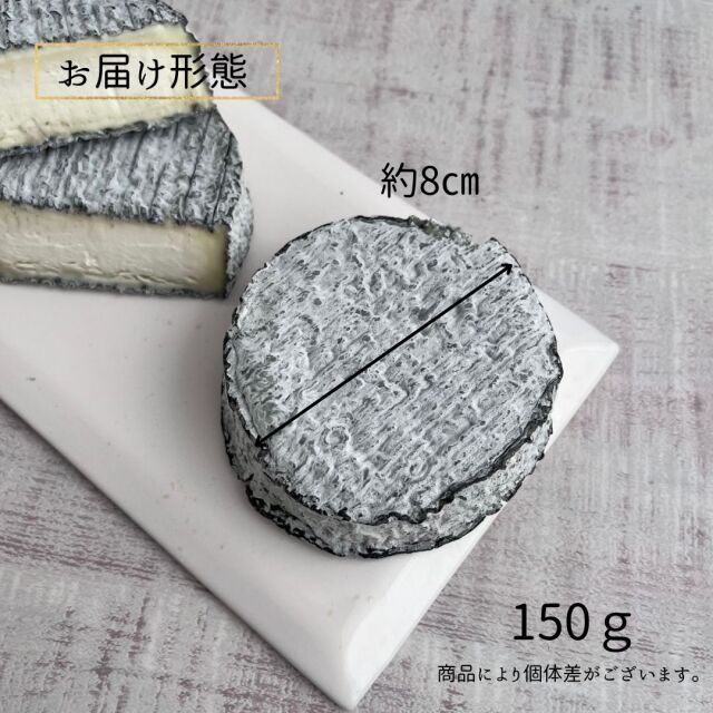 ｾﾙ ｼｭｰﾙ ｼｪｰﾙ AOP