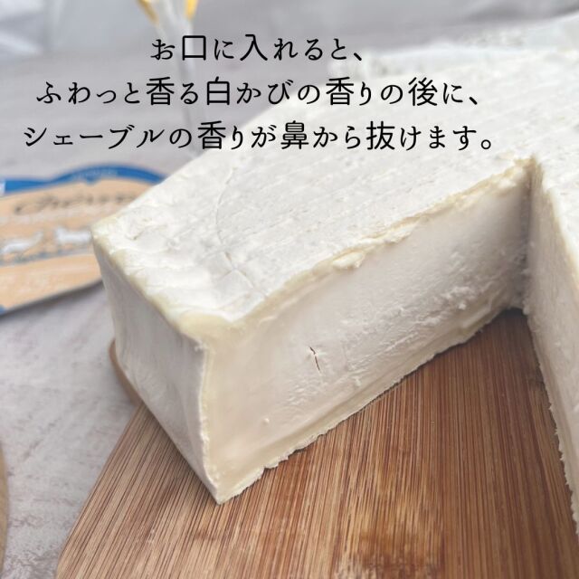 シェーブル ダルジェンタル