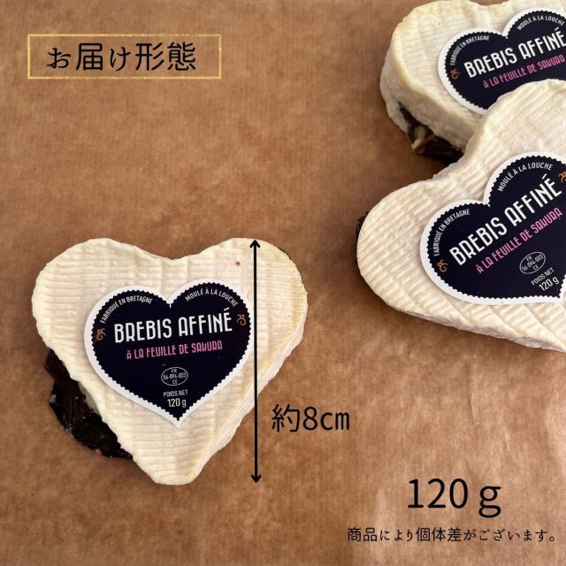 クール　ブルビ　サクラ　桜