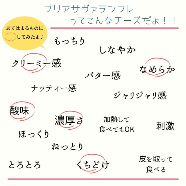 ブリアサヴァラン　フレ