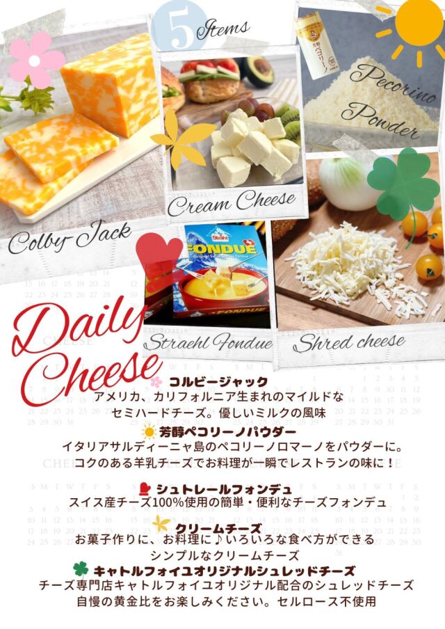 デイリーチーズ　詰め合わせ