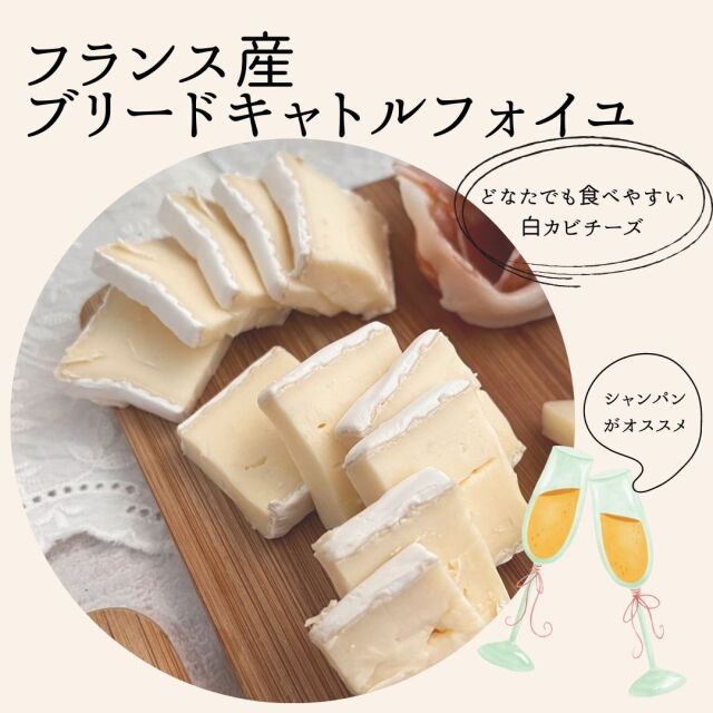 ワインで乾杯