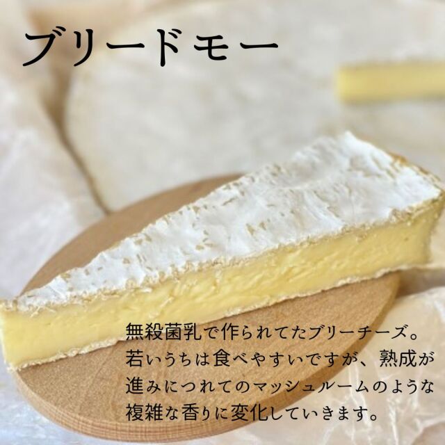 AOPセレクション