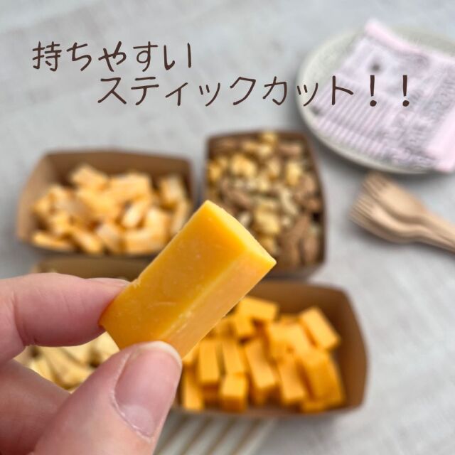 パーティー　切れてる　チーズセット　つどい