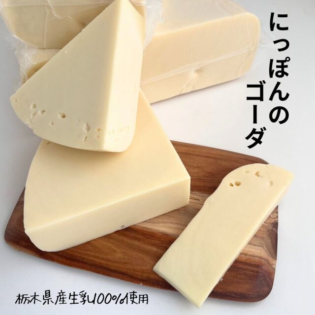 ゴーダ　全酪連