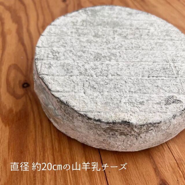 トム サンドレ バルビシェット lチーズ専門店 キャトルフォイユ】