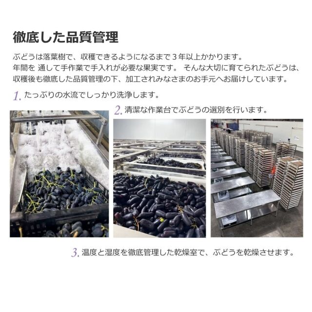 枝落ち レーズン