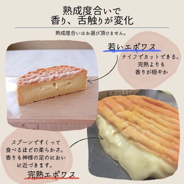 エポワス　