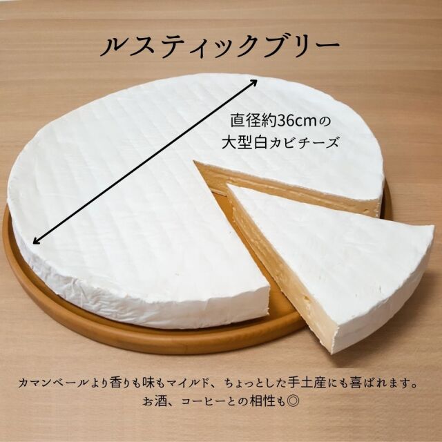 ブリー　キュトル　ギフト