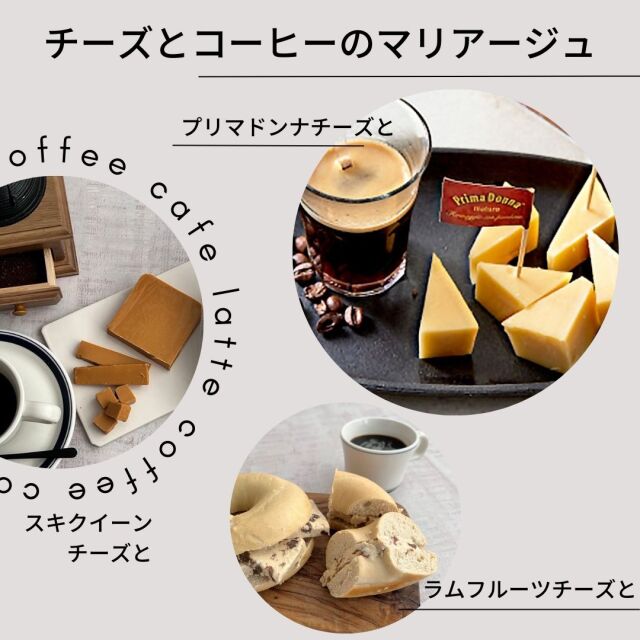 レギュラーコーヒー |チーズ専門店 キャトルフォイユ