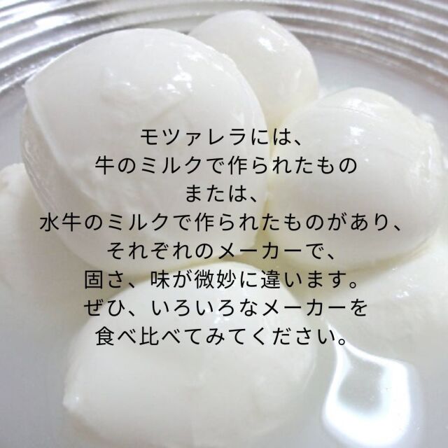 モッツァレラブファラ＜水牛乳製モッツァレラ＞【チーズ専門店