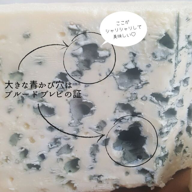 ブルーチーズちゃん セレクト♡ 15437_001.jpg