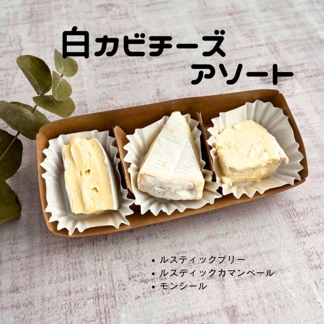 白カビ　アソート