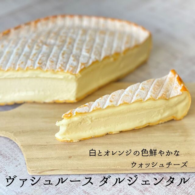 ヴァッシュ　アル　ダルジェンタル　ヴァシュルース