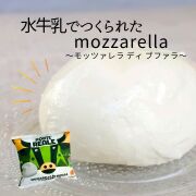 フレッシュチーズ