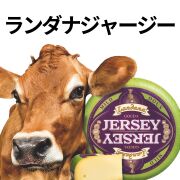 ミモレット22ヶ月熟成 l チーズ専門店 キャトルフォイユ