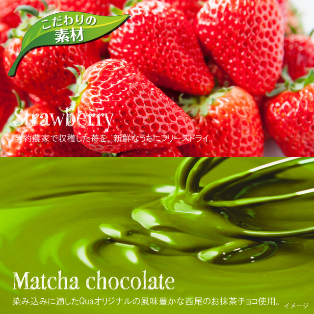 抹茶ストロベリー12個入り