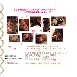 うさぎたちのバレンタインDVD