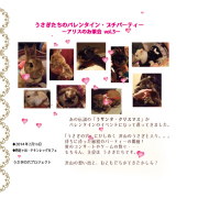 うさぎたちのバレンタインDVD