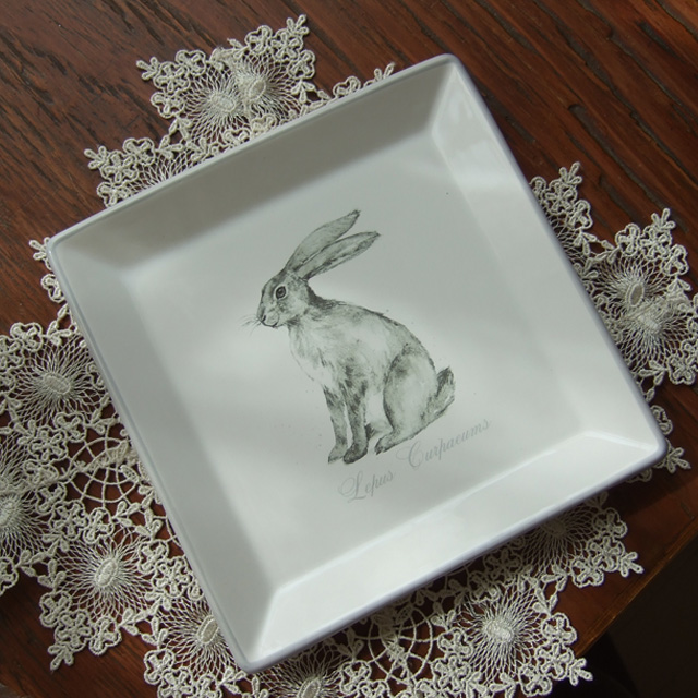 ラビット・スクエアプレート