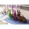 カラフルラビット