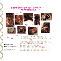うさぎたちのバレンタインDVD