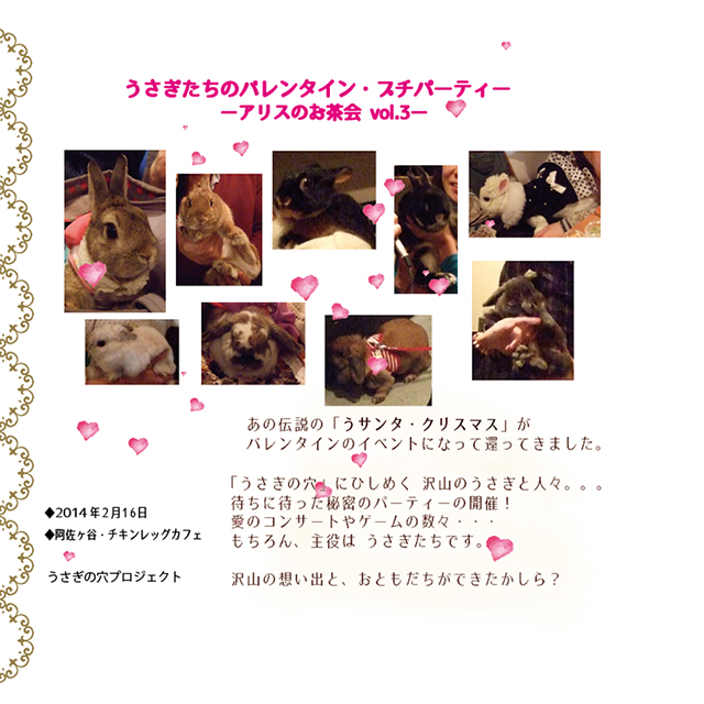 うさぎたちのバレンタインDVD