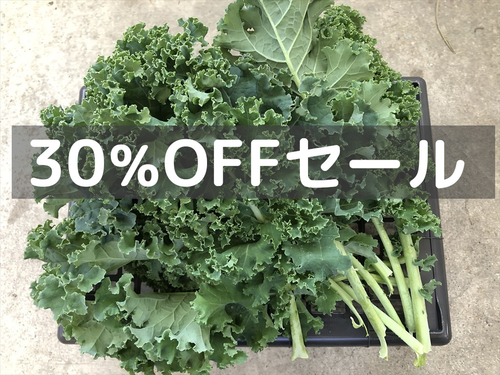 緑カリーノケール ヴェルデ うさぎ用 生野菜