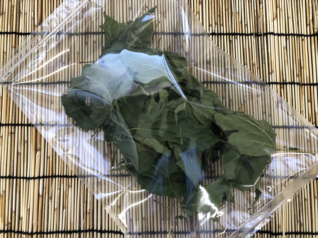 乾燥桑の葉