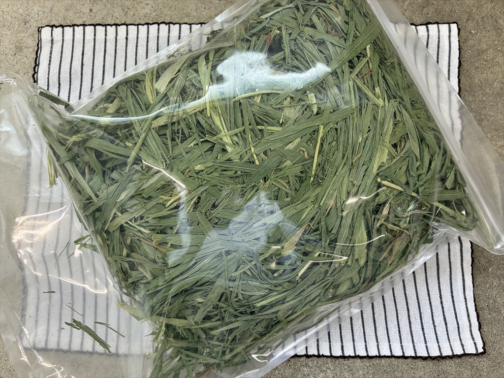 乳酸菌ラクト乾燥オーツヘイ