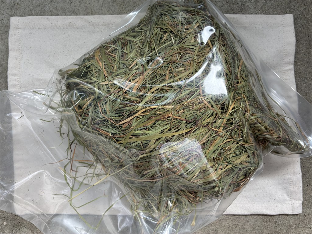 茶葉多いチモシー