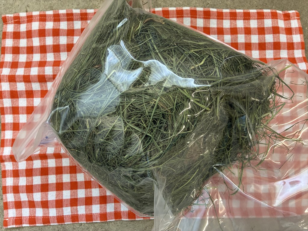 うさぎ用イネ科牧草バヒアグラス