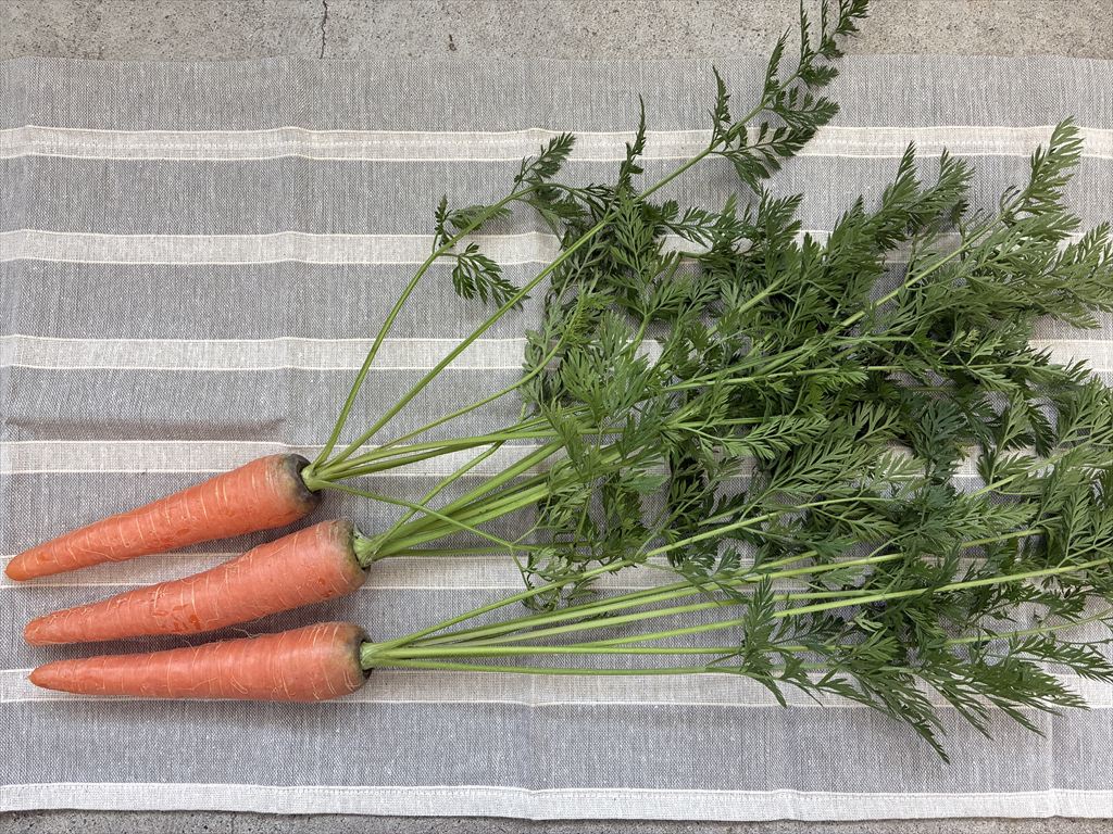 うさぎ用葉付きにんじん 新鮮な葉と根のセット