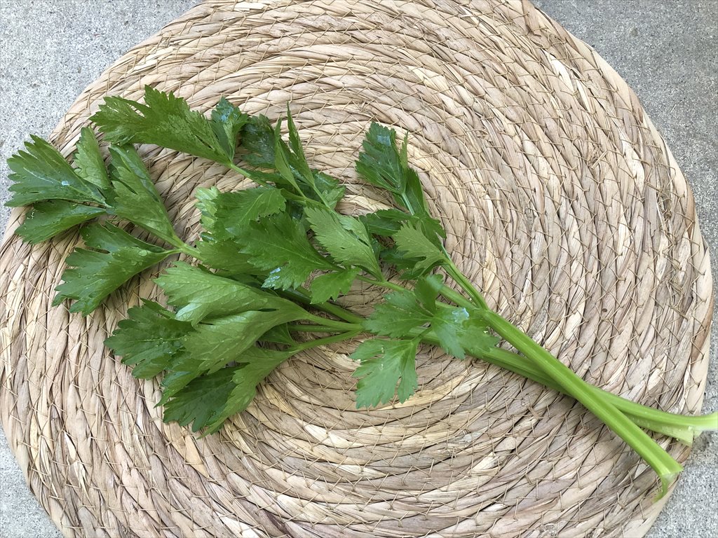 ミニセロリ