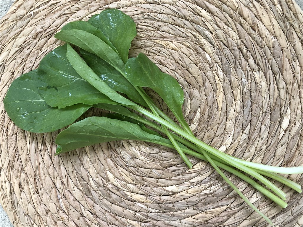 オータムポエム