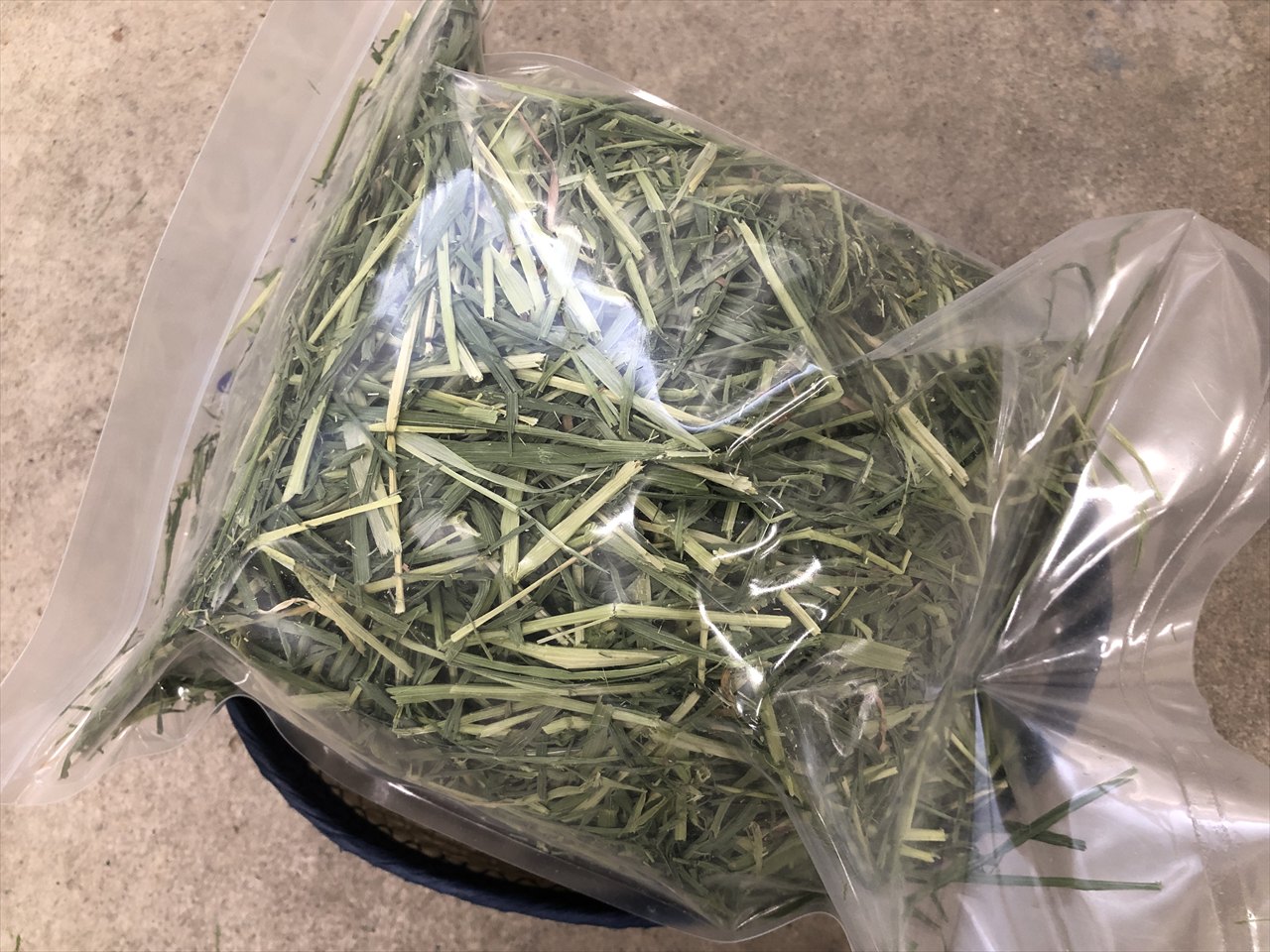 うさぎが食べるライムギ牧草